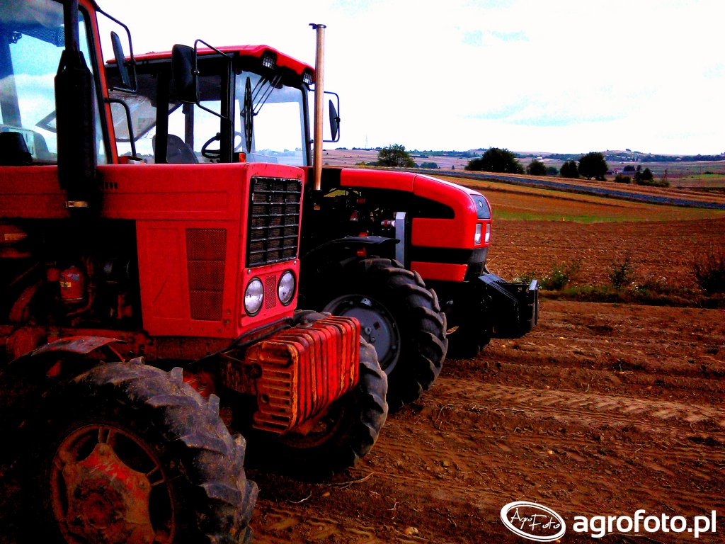 Foto Ciagnik Belarus Id Galeria Rolnicza Agrofoto