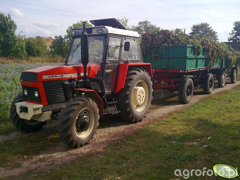 Zdj Cie Traktor Ursus Id Galeria Rolnicza Agrofoto