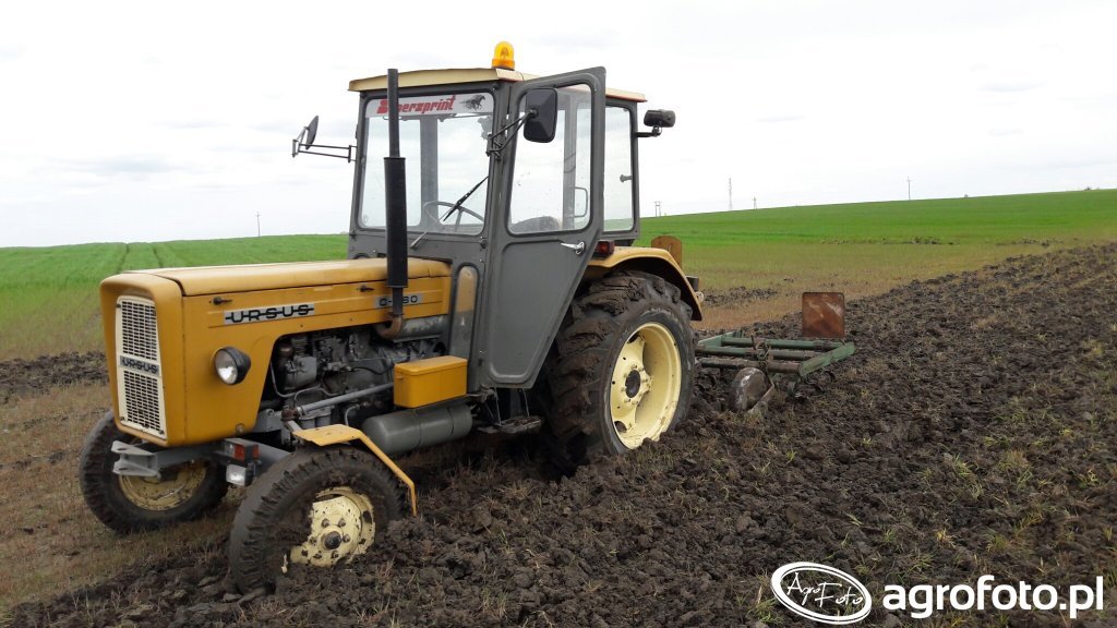 Obraz traktor Ursus C-360 id:687761 - Galeria rolnicza agrofoto