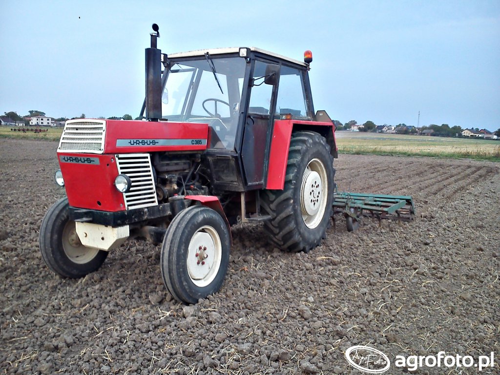 Fotografia Traktor Ursus C 385 614148 Galeria Rolnicza Agrofoto 6529