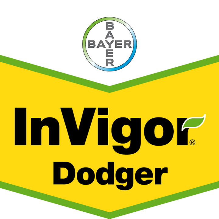 InVigor_Doger_szewron_Colorbgr_CMYK.png