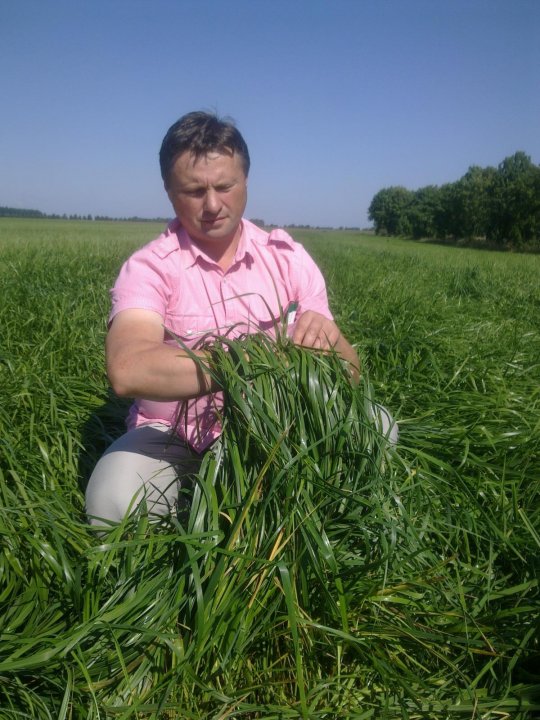 łąka z silnym niedoborem wapnia.JPG