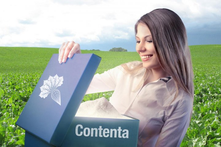 Contenta wizualizacja.jpg