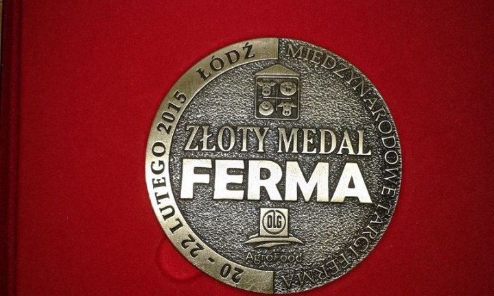 Złoty Medal FB 2015.jpg