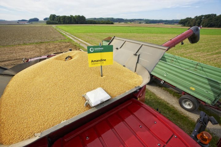 Kombajn zbożowy Axial-Flow marki Case IH zapewnia solidną wydajność przy młóceniu soi (2).jpg