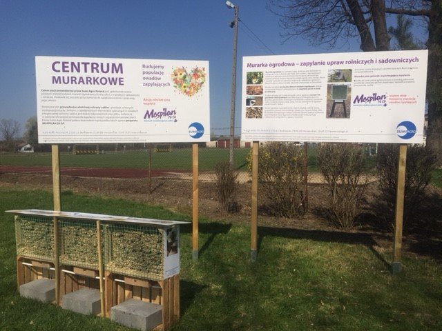 Fot.-Centrum-Murarkowe-w-Jasiencu.jpg