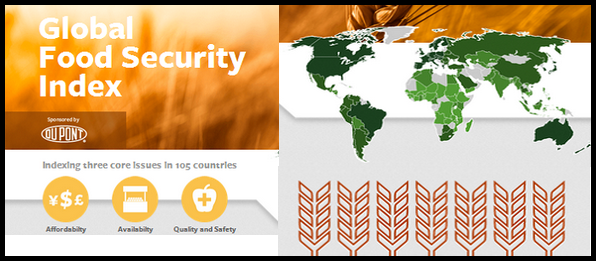 Global-Food-Security-Index-20121.png