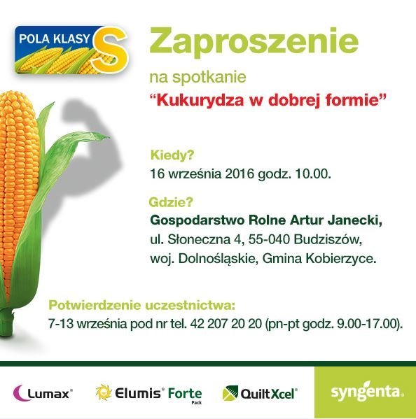 Zaproszenie Syngenta 16 września - Pola Klasy S - kukurydza .JPG