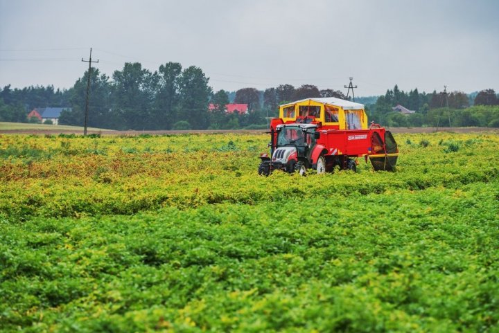 PROCAM Dzień Ziemniaka 9..jpg