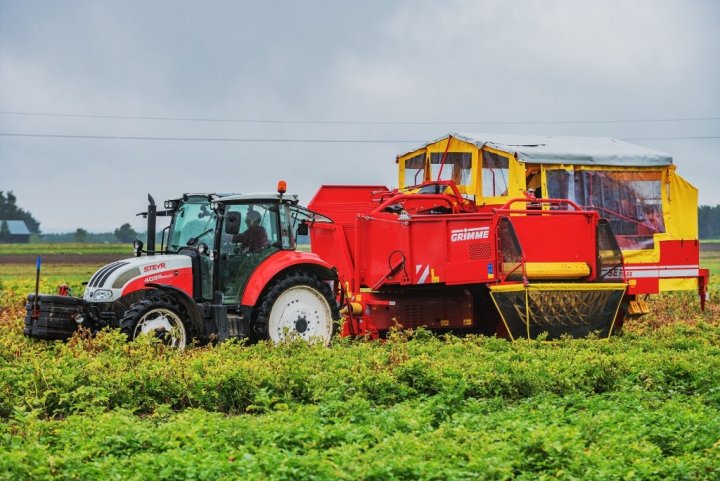 PROCAM Dzień Ziemniaka 8..jpg