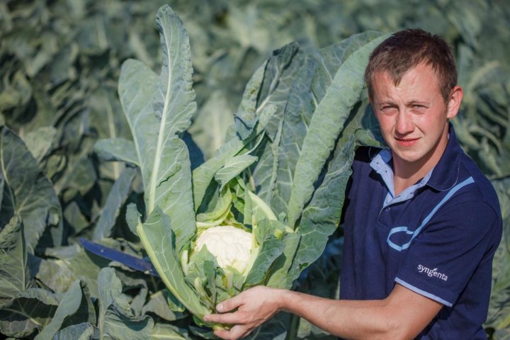 Marek_Zielinski_z_kalafiorem_Gohan (2).jpg