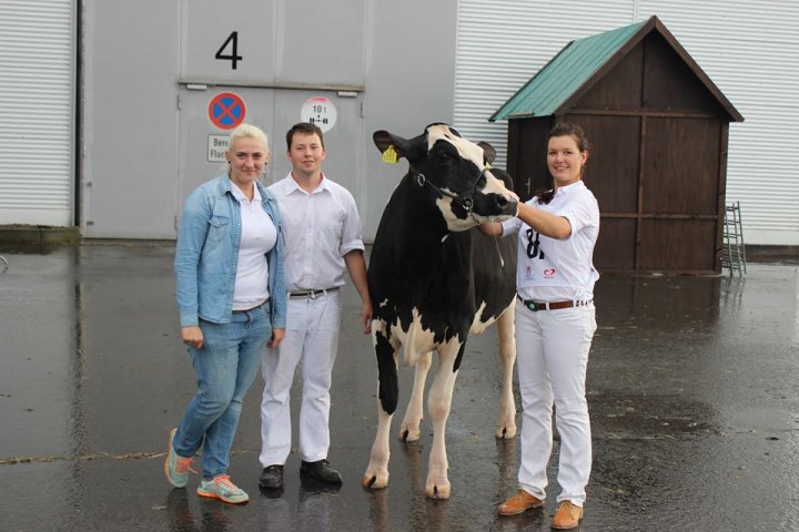 erfurt 2014-champion young calf.jpg