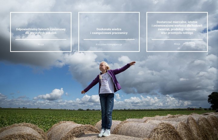 grafika nastepna.jpg