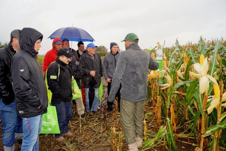 Spacer Farmera 1280x768.jpg