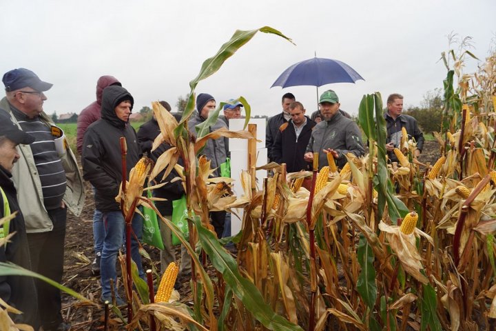 Tomasz Krakowiak o odmianach FarmSaat 1280x768.jpg