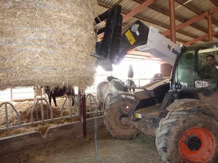 suproin telescopi 727.JPG