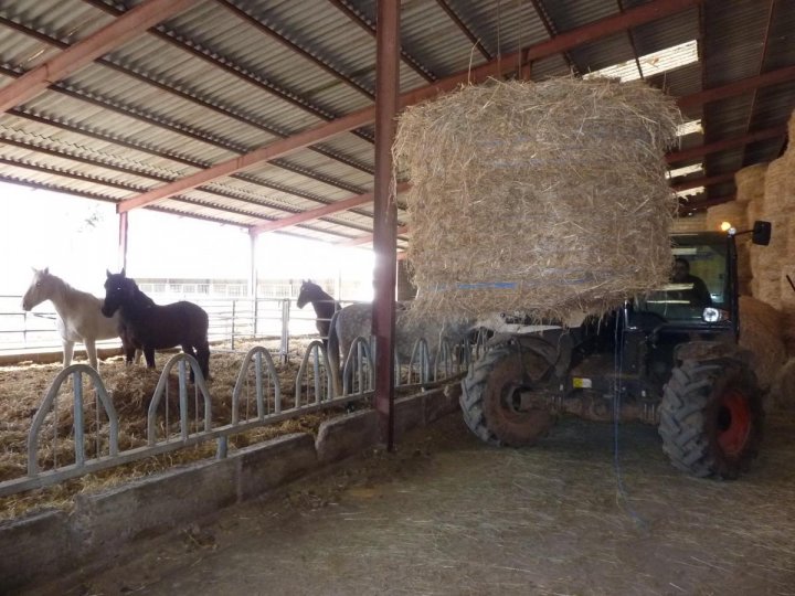 suproin telescopi 726.JPG