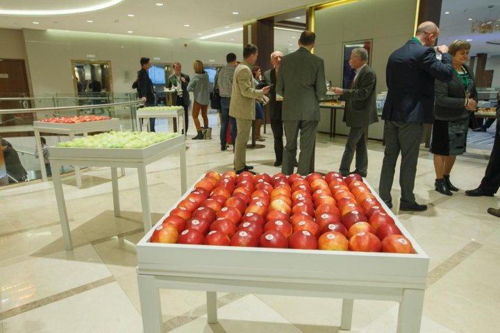 zdjecie główne 3.jpg