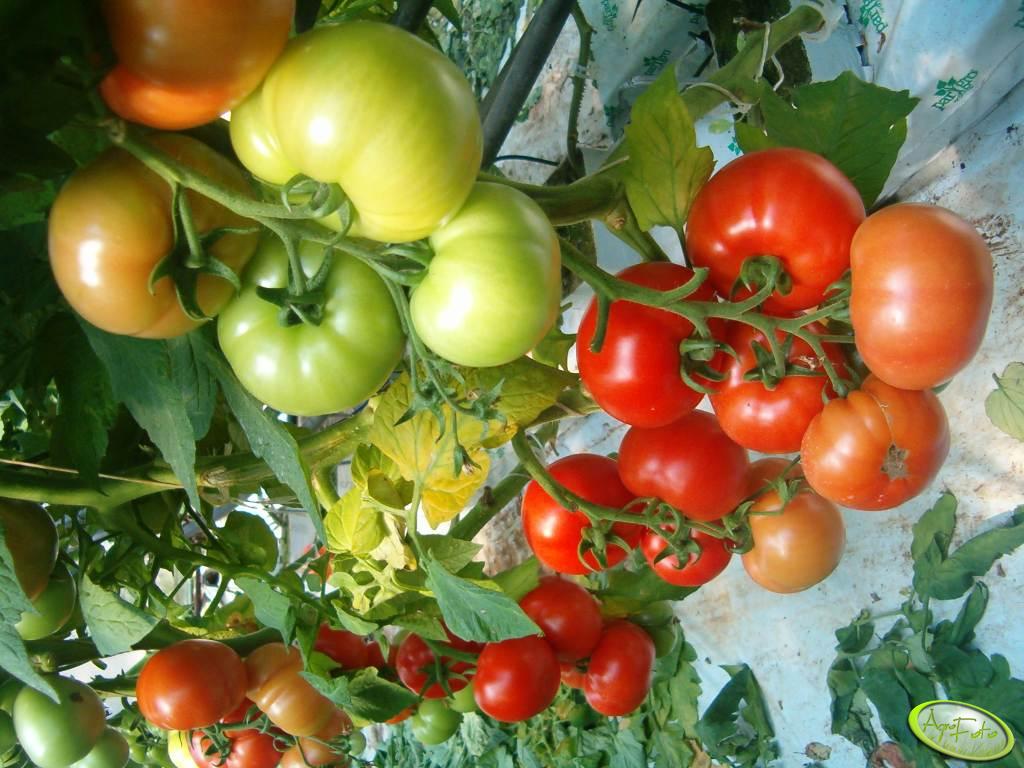 blog-0861797001443000883.jpg