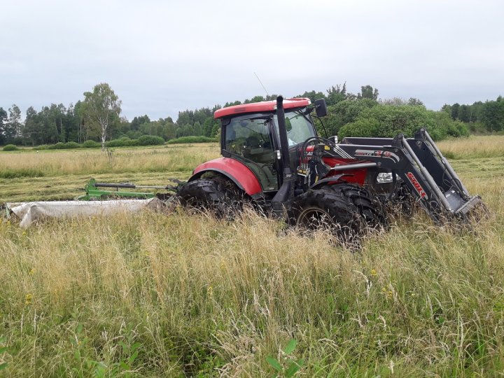 20170725_092006 lll.jpg