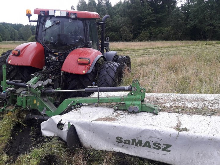 20170725_092026 lll.jpg