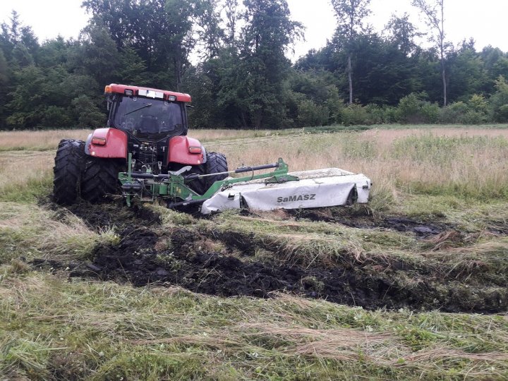 20170725_092037 lll.jpg