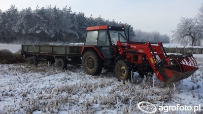 marcin5844