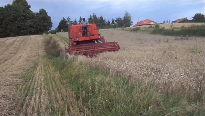 Dwm 2018-01-19 21-37-14-65.jpg