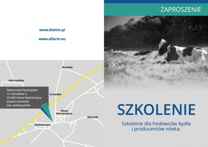 Nowe Skalmierzyce (1) (1).jpg