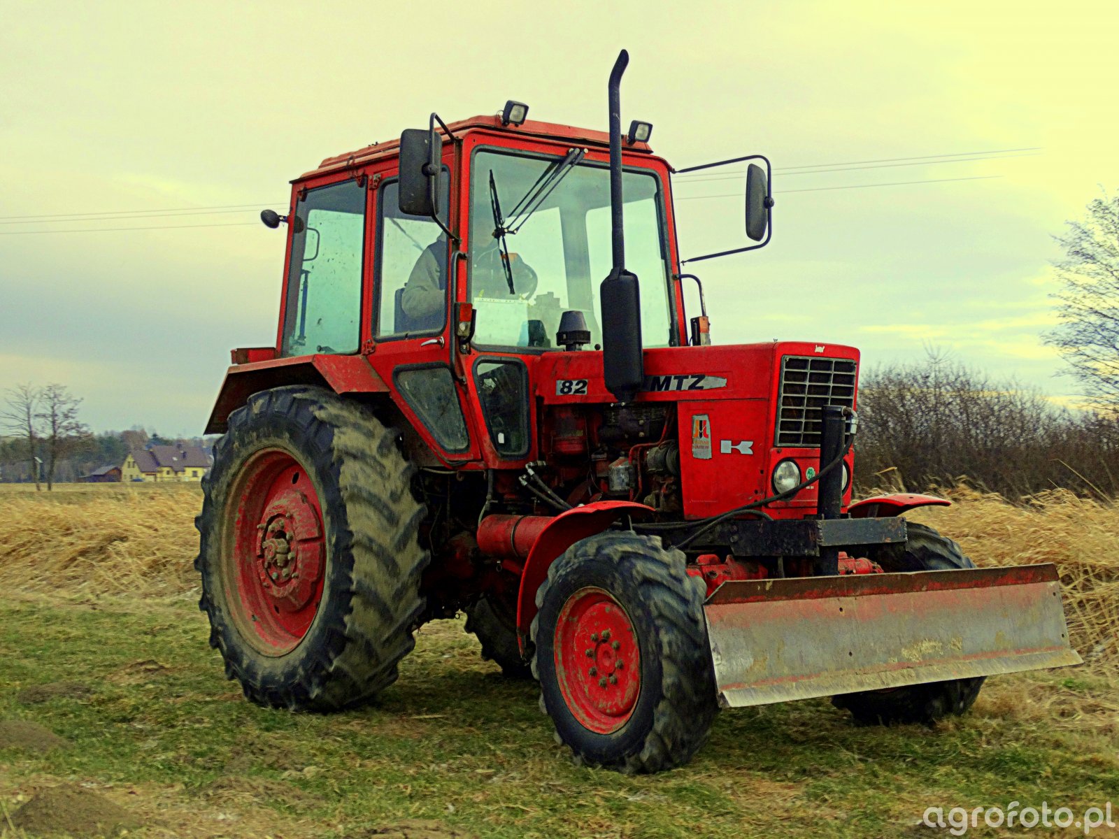 Zdjęcie ciągnik Mtz 82 id:717124 - Galeria rolnicza agrofoto