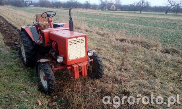 Pawel_T-25A