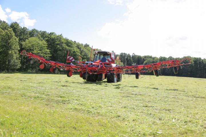 GF Série 1012 (5).JPG