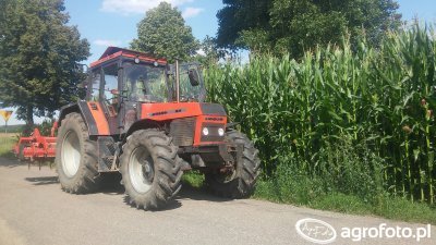 darek154