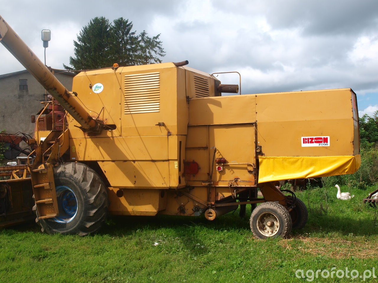 Kombajn Bizon Super Z056 - foto #722619 - Galeria rolnicza agrofoto