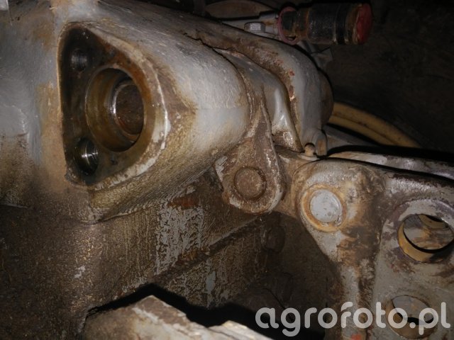 Tomaszek8504
