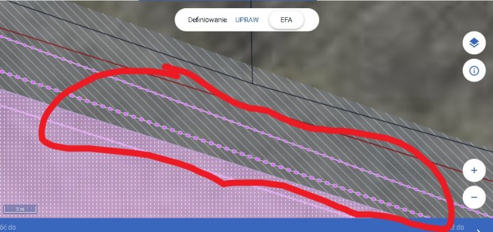 rów, zadrzewienie liniowe efa.jpg