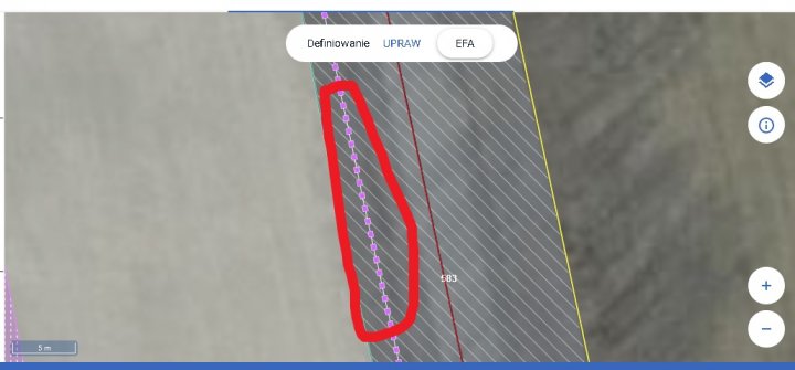 zadrzewnienie liniowe efa.jpg