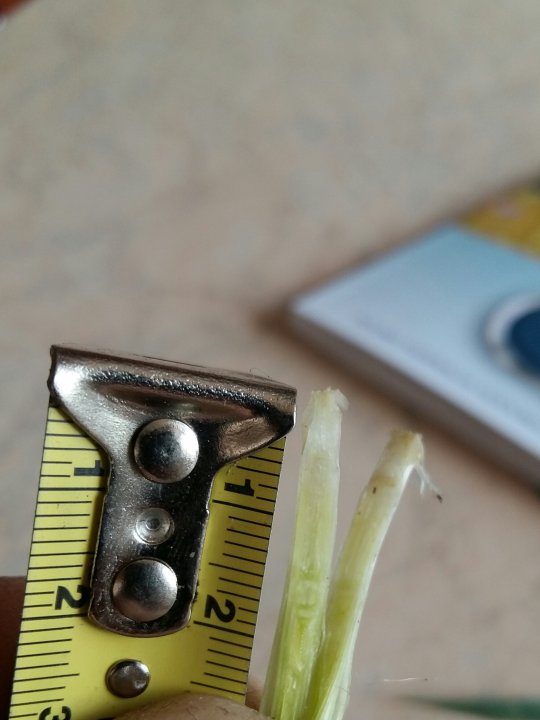 2018-04-18 10.53.02.jpg