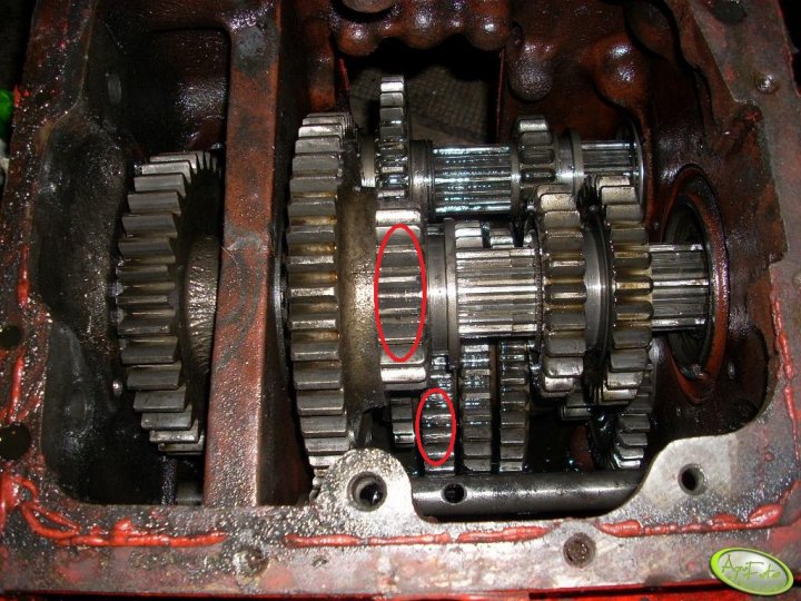 mtz-82-skrzynia-biegow.jpg