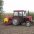 Lisek66