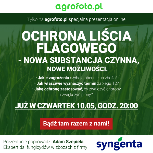 syngenta-600x600.jpg
