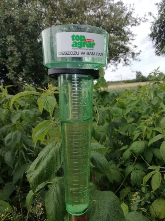 Deszczomierz.jpg