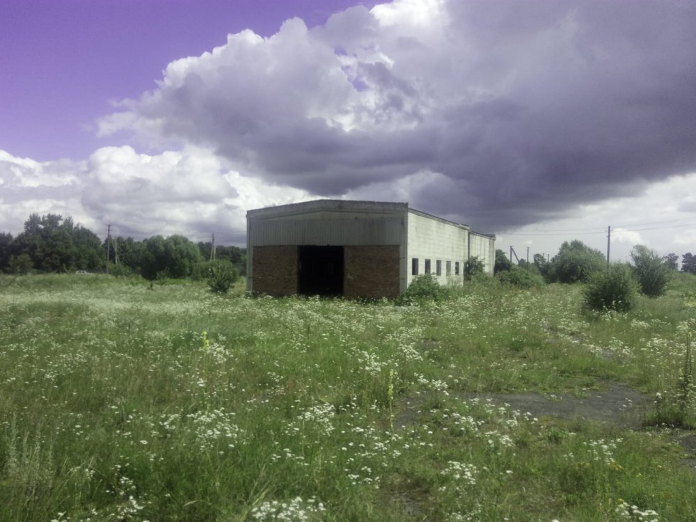 BUD NR 2 SUSZARNIA.jpeg