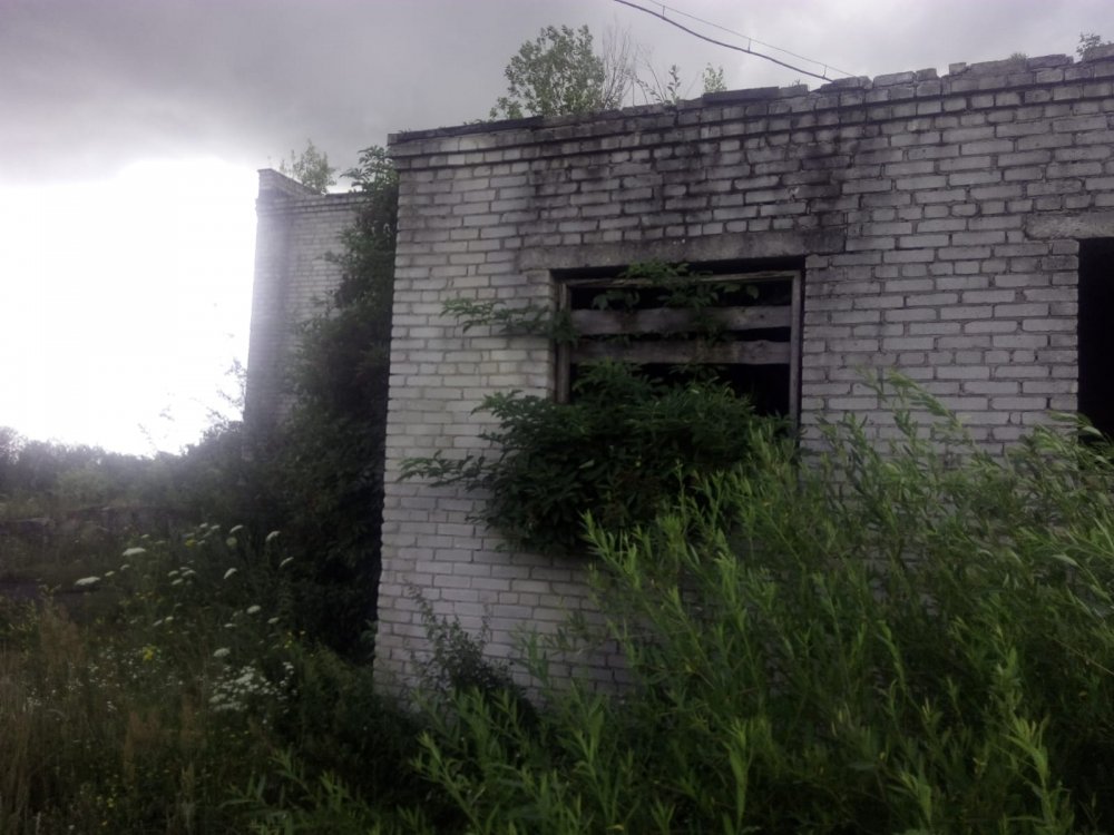 NR 2 TYLNA CZ. Z ZEWNĄTRZ.jpeg