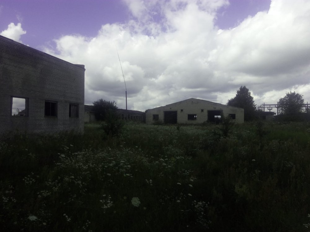 Z LEWEJ SUSZARNIA PROSTO NR 3.jpeg