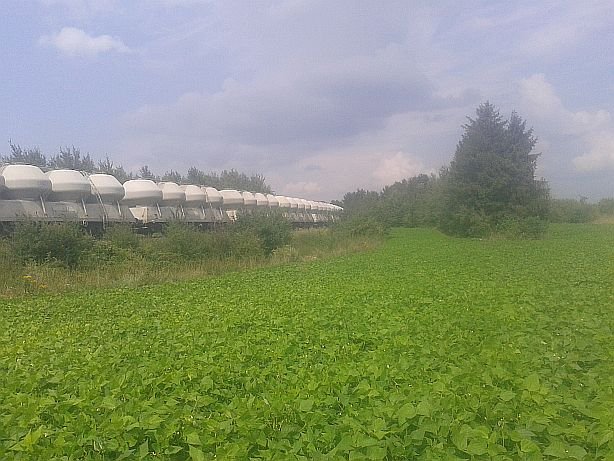 uprawna enklawa_.jpg