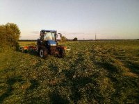 farmersNHtd95d