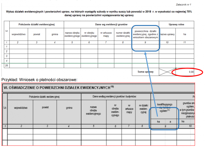 2018-09-17 20_59_58-INSTRUKCJA WYPEŁNIANIA WNIOSKU.png