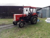 Mateusz45288