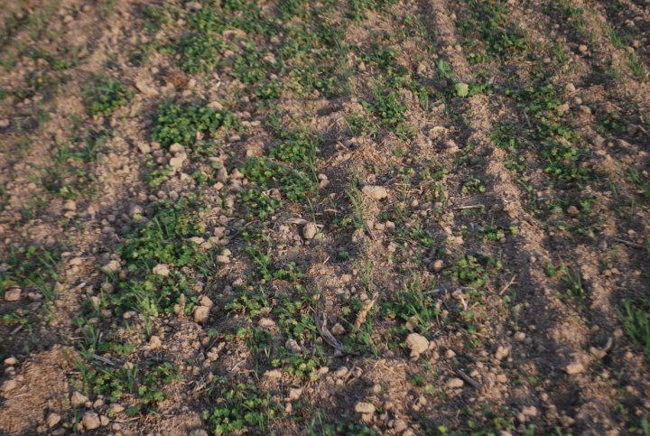 Artist 15.10 (9).JPG